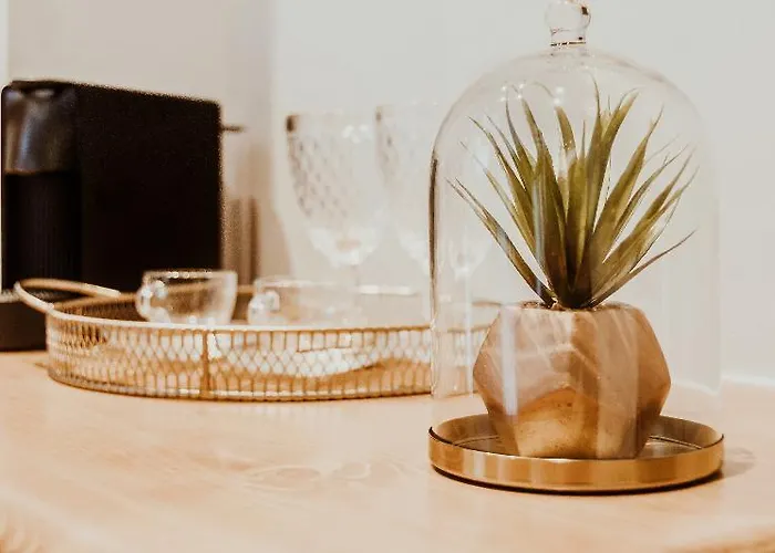 Couette-café Maregold Mykonos Micro-boutique Suites, Adults Only 4*